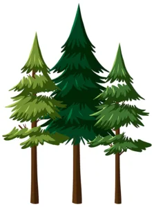 solusi